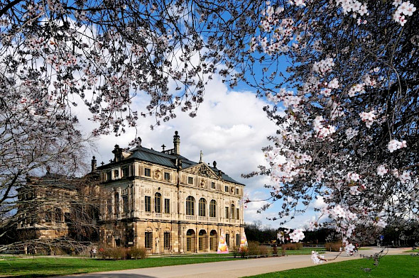  Dresden Palais in the Great Garden